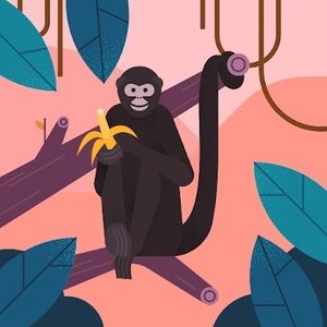 Meet your Posher, Joana